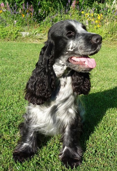 21.7.2009 postoje 023.jpg